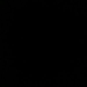 Meet your Posher, Alani